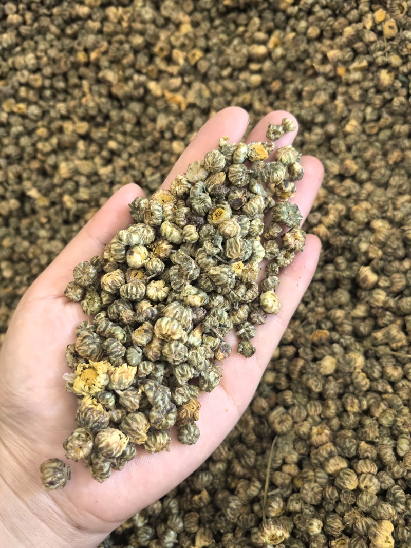 胎菊胎菊米新货多种规格有货供应七彩百草中药材批发