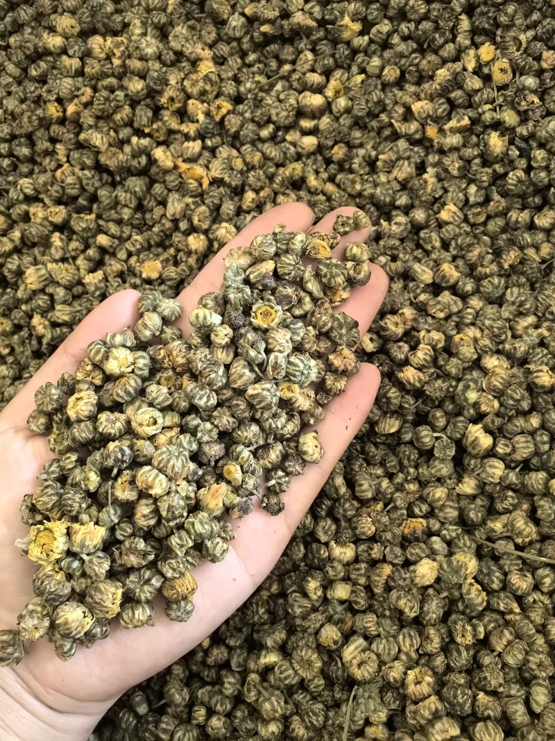 胎菊胎菊米新货多种规格有货供应七彩百草中药材批发