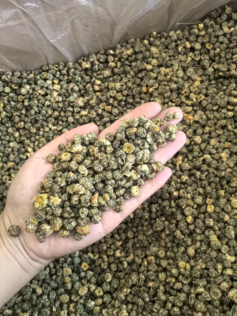 胎菊胎菊米新货多种规格有货供应七彩百草中药材批发