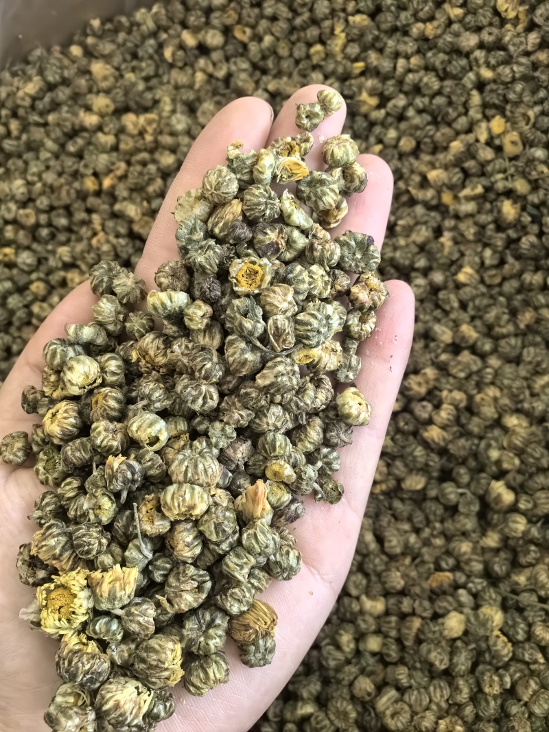 胎菊胎菊米新货多种规格有货供应七彩百草中药材批发