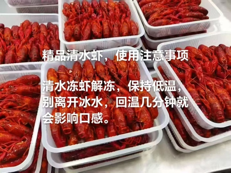 潜江小龙虾冻虾产地直发品质保证全国发货