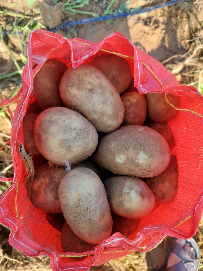沃土