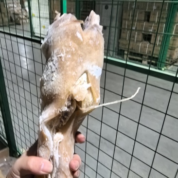 熟牛蹄去骨牛蹄半去骨全去骨带筋