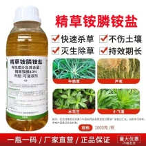 麒丁精草铵膦铵盐农药除草剂果园非耕地快速杀草不伤土壤