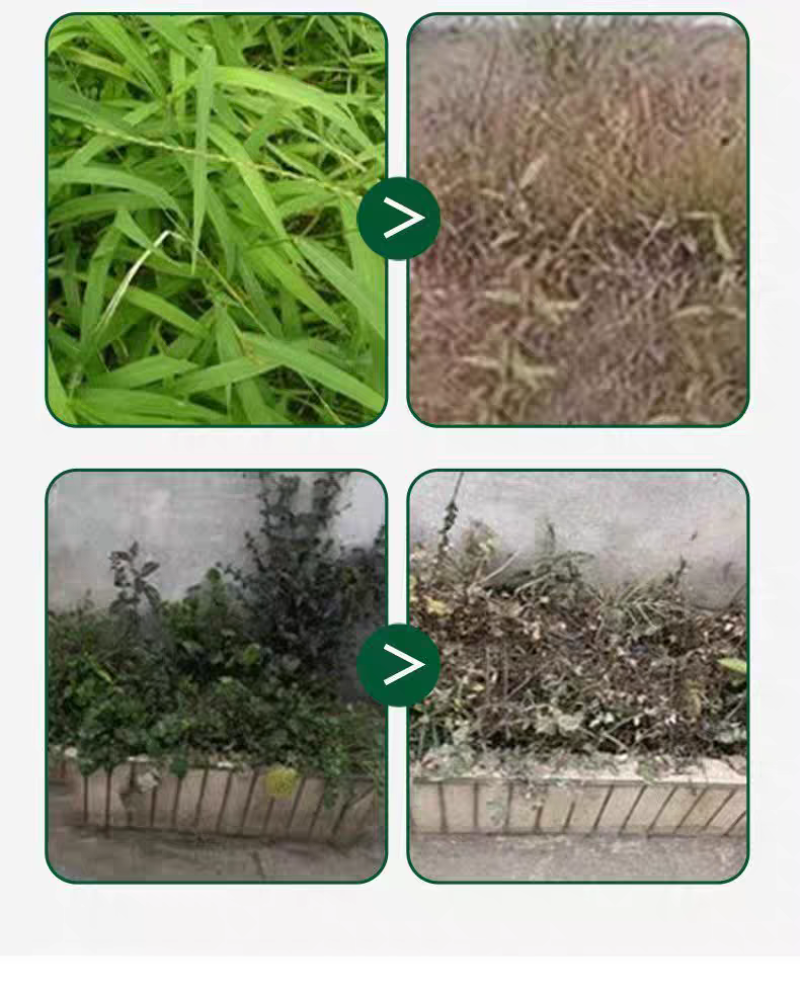 麒丁精草铵膦铵盐农药除草剂果园非耕地快速杀草不伤土壤