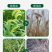 麒丁精草铵膦铵盐农药除草剂果园非耕地快速杀草不伤土壤