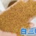 白三叶红三叶种子批发，价格美丽厂家直销