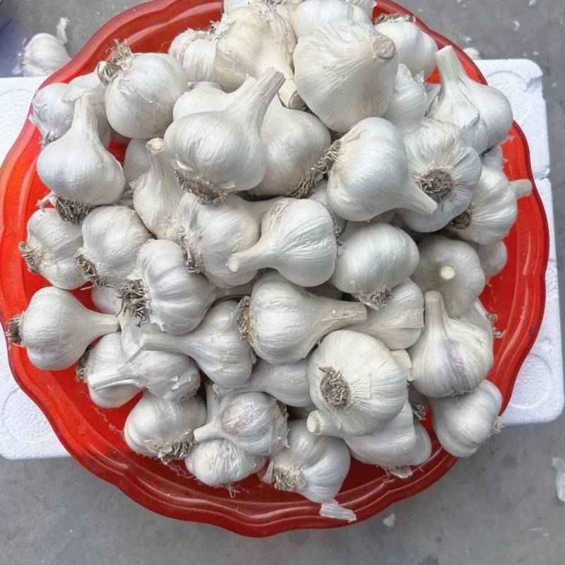 苍山四六掰，香，辣，黏