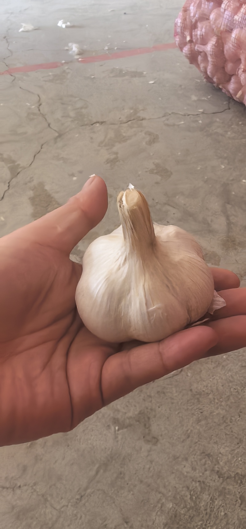 苍山四六掰，香，辣，黏