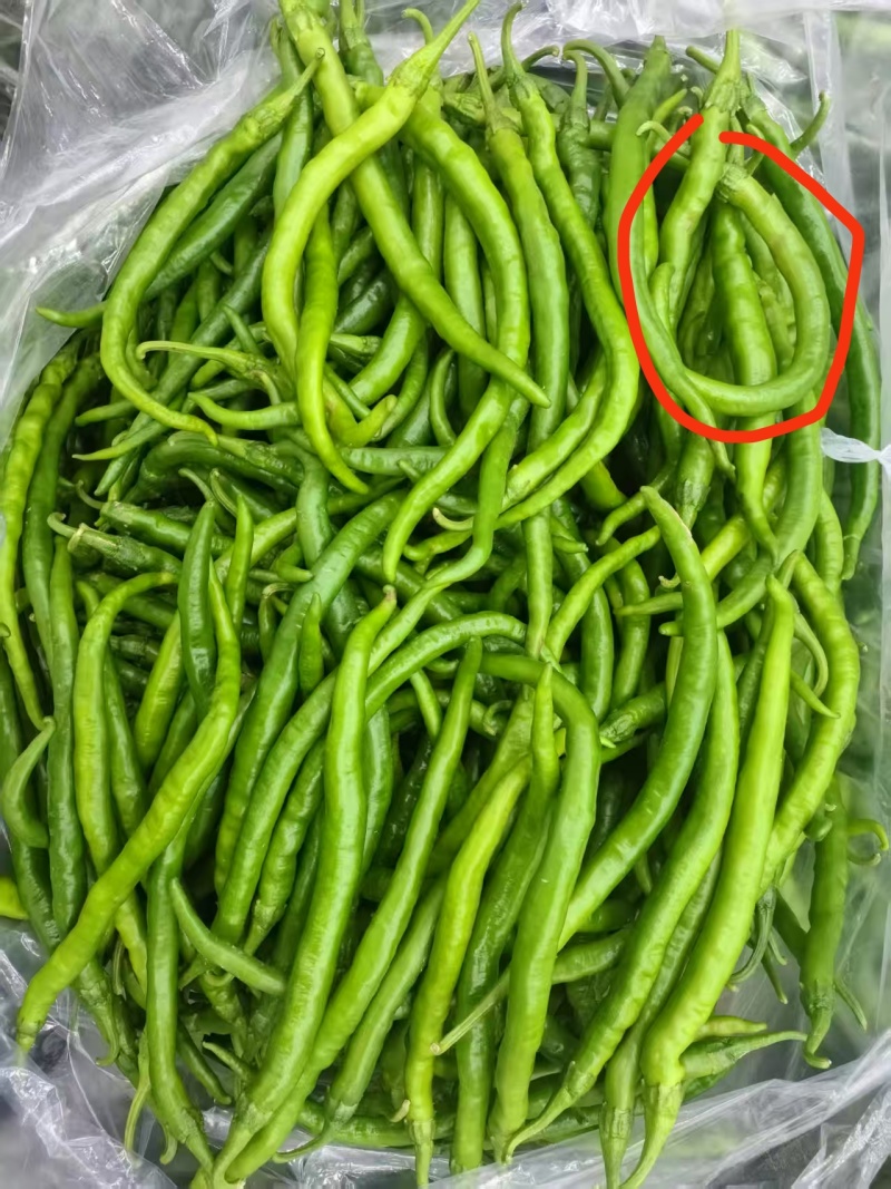 青线，红线