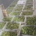 5-6千斤，60g以上统货，大果和特大比例占据6-7成。
