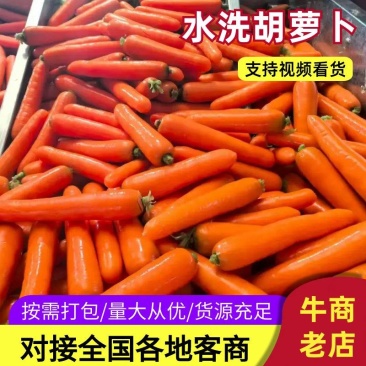 【胡萝卜】通许胡萝卜条型号带泥水洗规格齐全