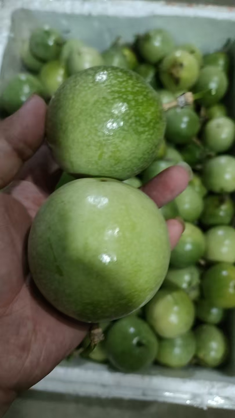钦蜜九号黄金百香果，产地直发。一手货源，长期大量稳定供应。