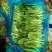 上海金山鸡毛菜开始大量上市，新鲜货源，各种规格