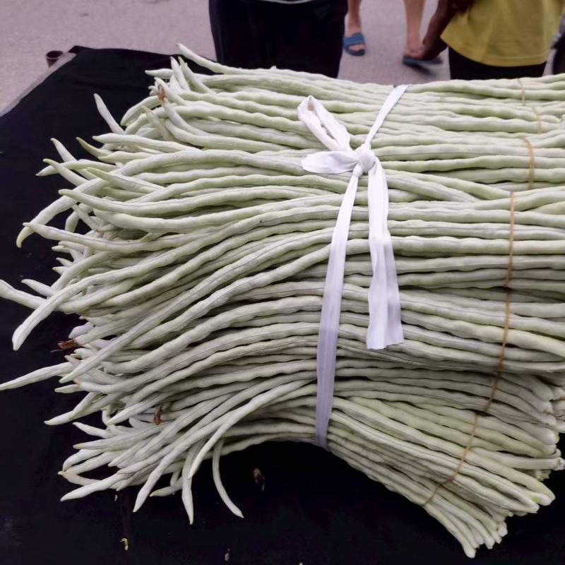 【品质保障】广西白条豆角基地直供对接全国批发电商商超
