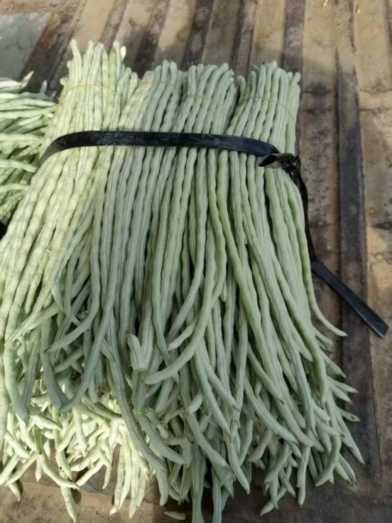 【品质保障】广西白条豆角基地直供对接全国批发电商商超
