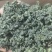 绞股蓝精品绞股蓝规格齐全自产自销产地直供欢迎咨询