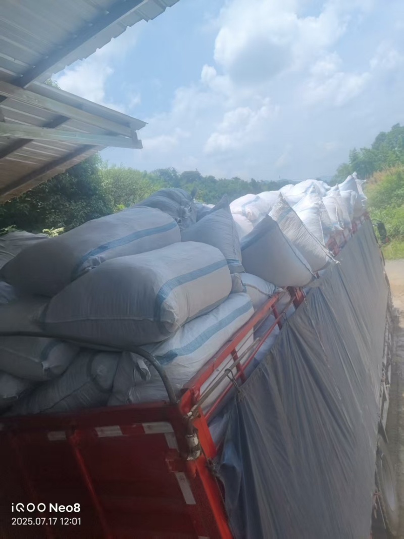绞股蓝精品绞股蓝规格齐全自产自销产地直供欢迎咨询