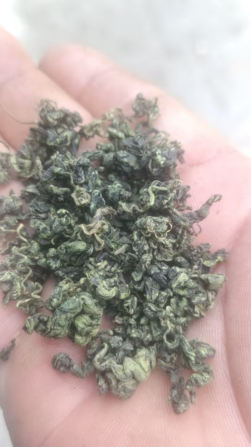 绞股蓝精品绞股蓝规格齐全自产自销产地直供欢迎咨询