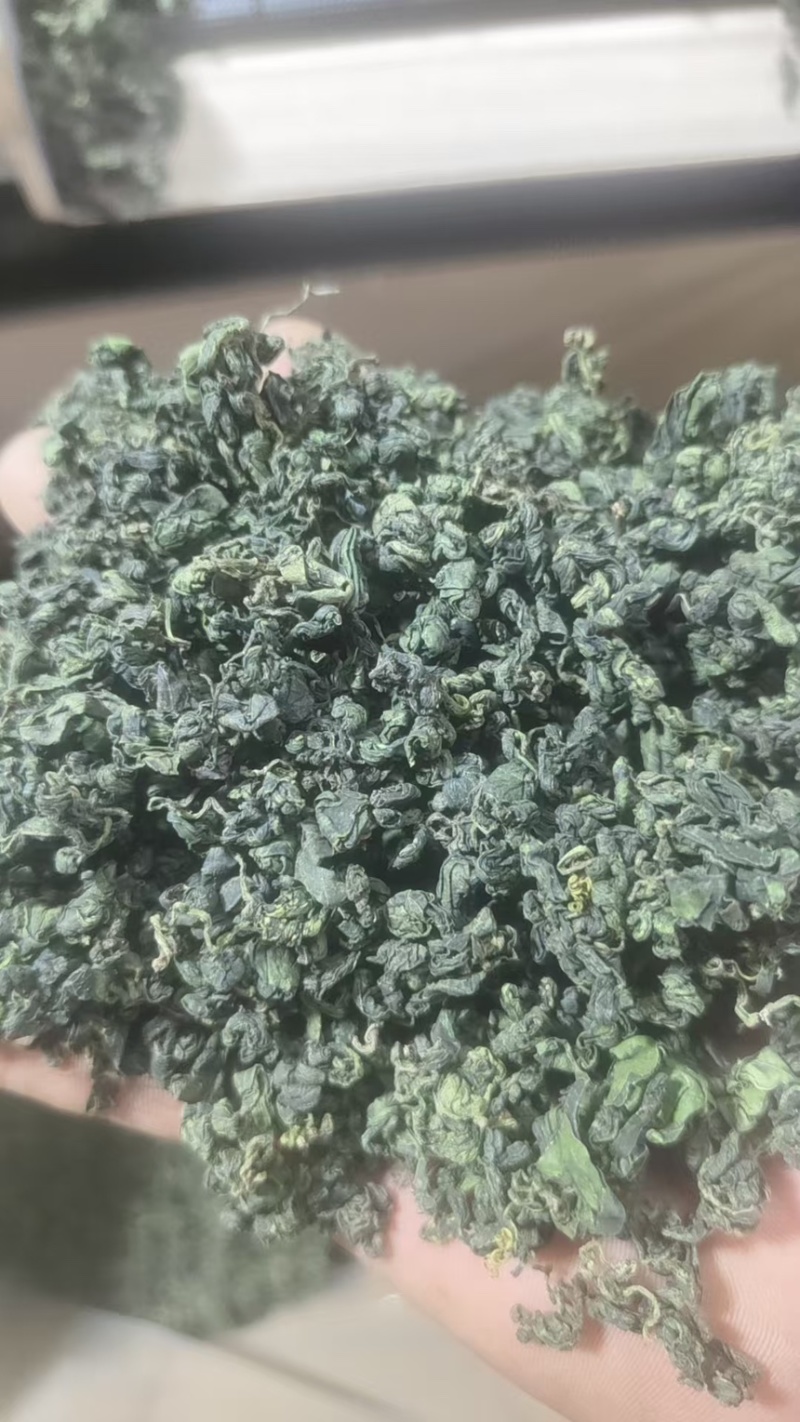 绞股蓝精品绞股蓝规格齐全自产自销产地直供欢迎咨询