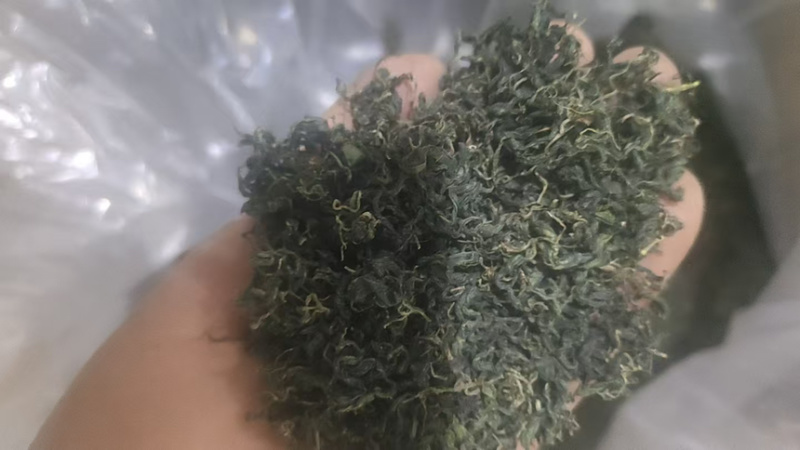 绞股蓝精品绞股蓝规格齐全自产自销产地直供欢迎咨询