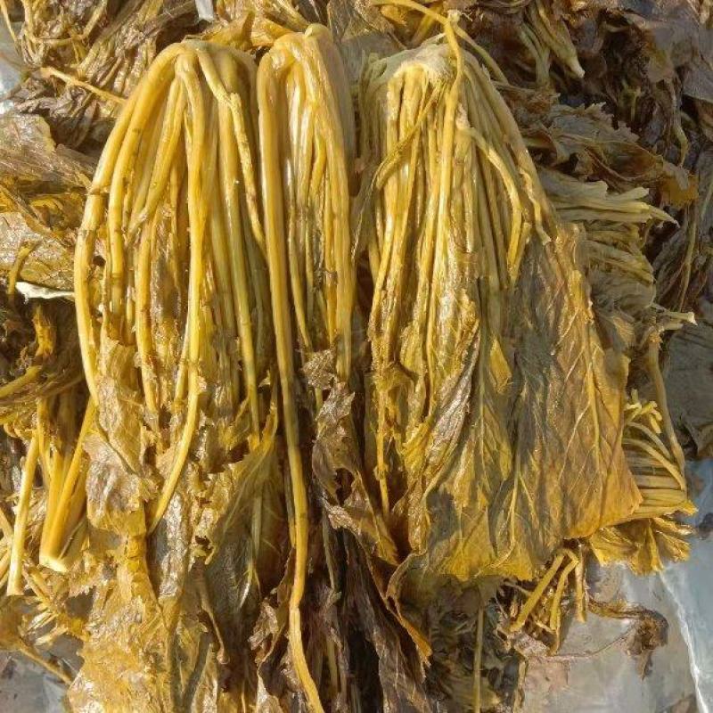 安徽腌制雪里红现货，大量供应各种泡菜厂等，全国发货