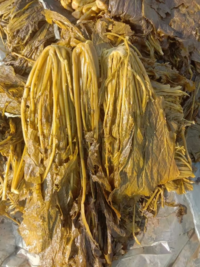 安徽腌制雪里红现货，大量供应各种泡菜厂等，全国发货