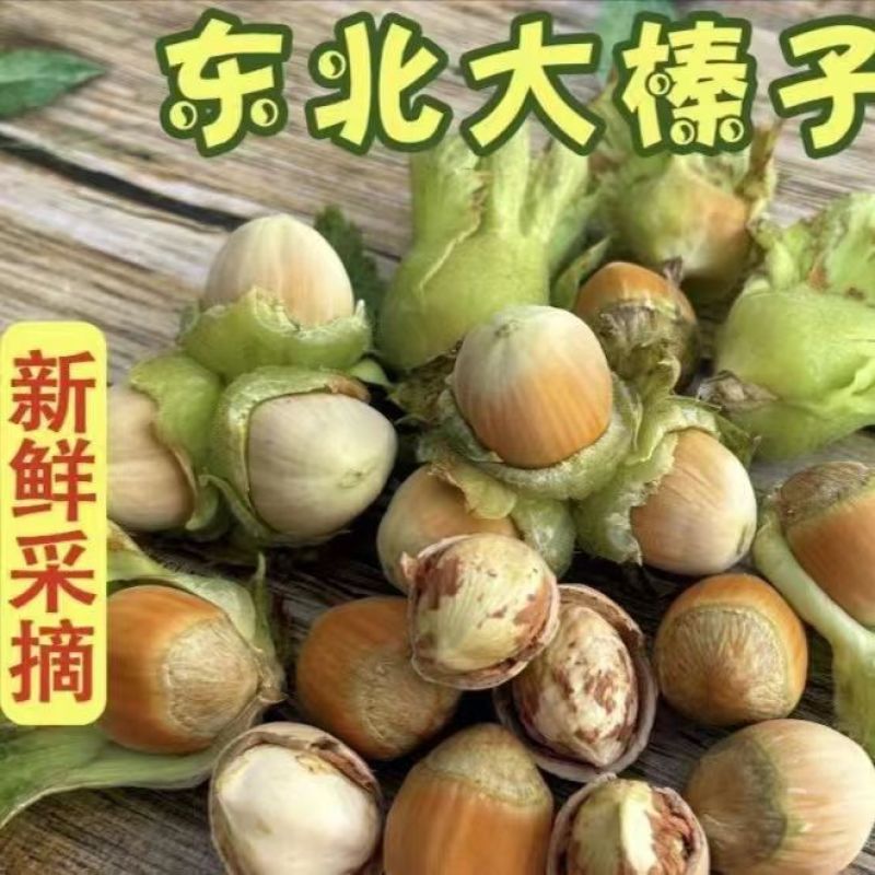 东北大榛子量大保证质量价格美丽，产地直发