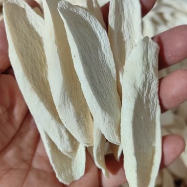 河南温县山药干,柳叶片大量现货,质量保证药食两用可全国发