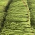 津利红一号辣椒大量有货精品量大辣椒基地直发万亩基地