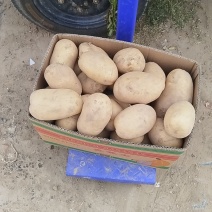 三两以上二到四精品土豆，品质好