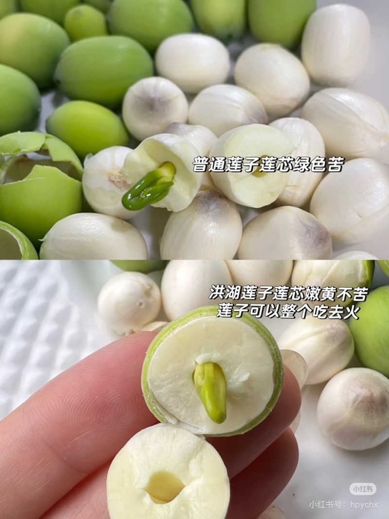 湖北洪湖嫩莲蓬老莲蓬批发零售