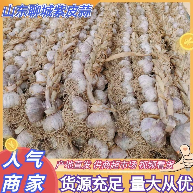 山东聊城大蒜紫皮蒜辫子蒜干蒜供全国商超市场量大从优