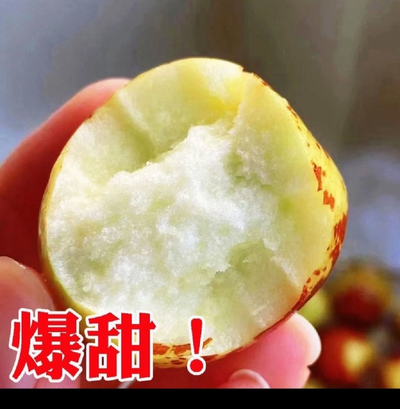 大荔冬枣脆甜多汁现摘现发电商货现摘现发