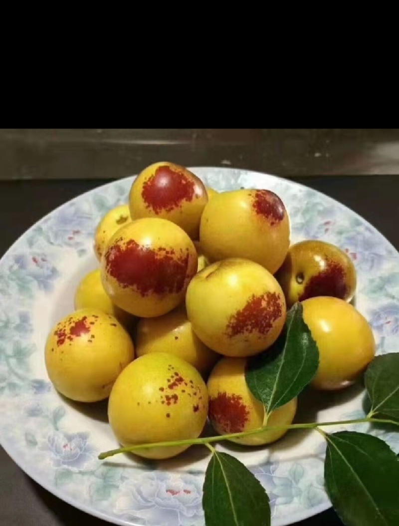 大荔冬枣脆甜多汁现摘现发电商货现摘现发