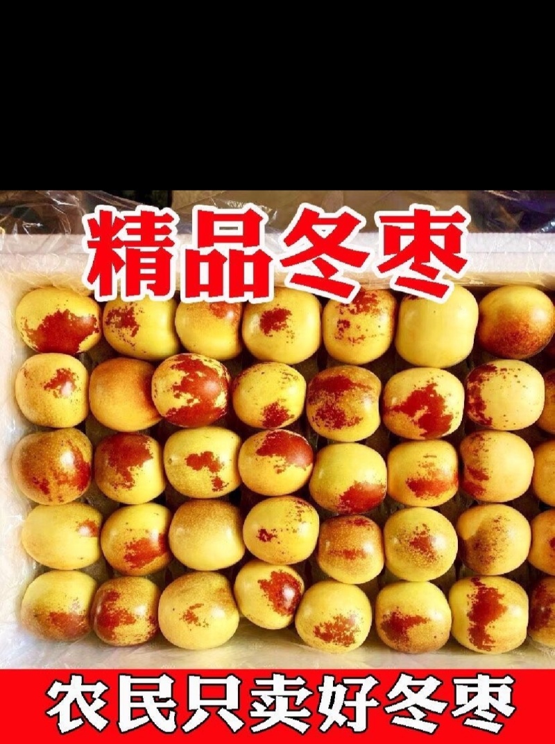 大荔冬枣脆甜多汁现摘现发电商货现摘现发