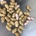 实力推荐湖北花生，白沙花生，大量供应货源充足，量大