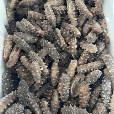 30-50头电商团购即食海参现货4万斤
