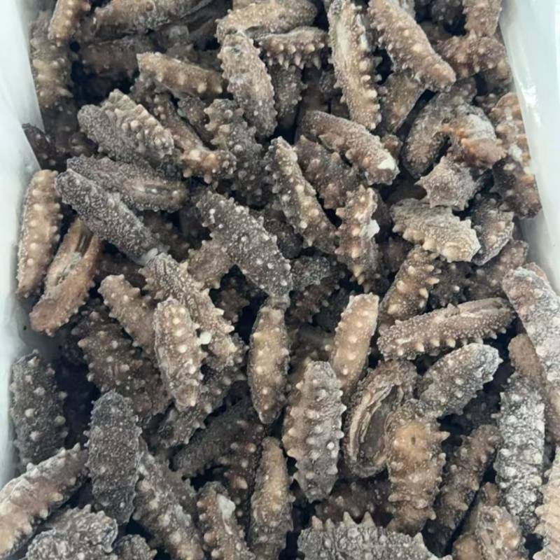 30-50头电商团购即食海参现货4万斤