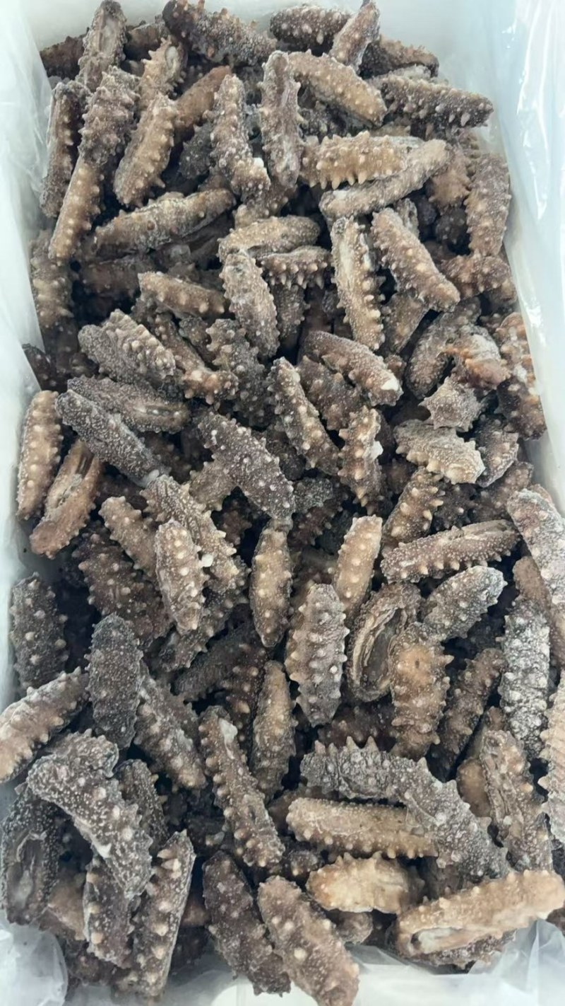 30-50头电商团购即食海参现货4万斤