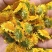 新鲜精品旋覆花，价格美丽，需要的来老板来谈