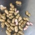 精品湖北供应鲜花生，白沙花生，大量供应货源稳定