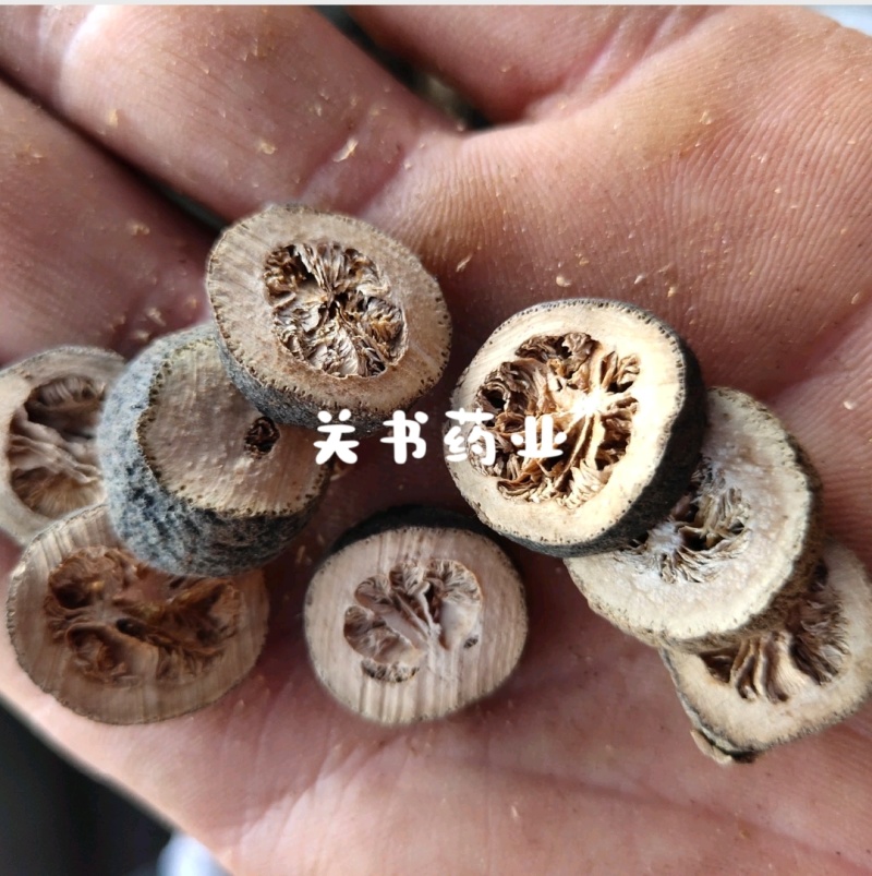 青皮中片甜橙新货2.0左右关书药业批发中药材