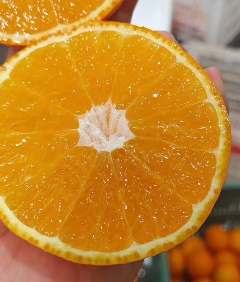 脐橙品质保证大量有货产地直发价格美丽