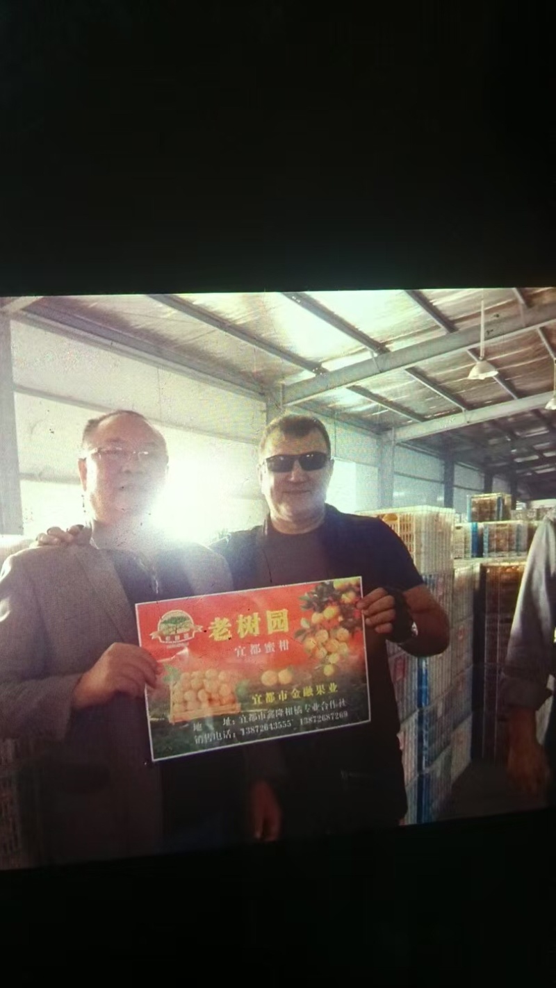 脐橙品质保证大量有货产地直发价格美丽