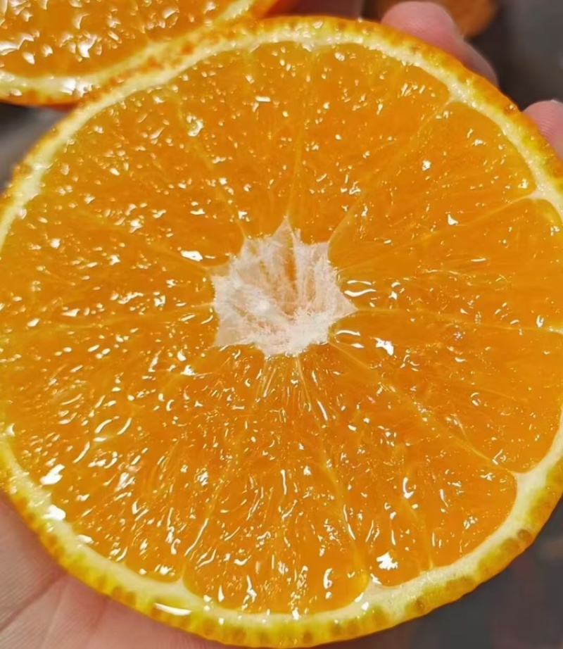 脐橙品质保证大量有货产地直发价格美丽