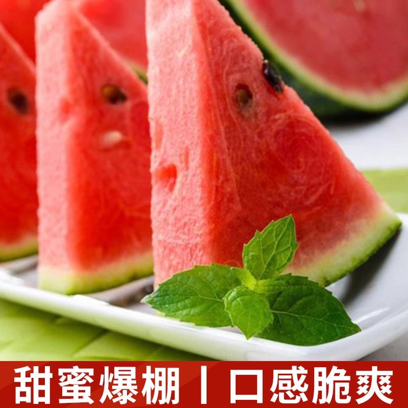 新疆甜王大西瓜，现货直发，甜王西瓜，无籽瓜