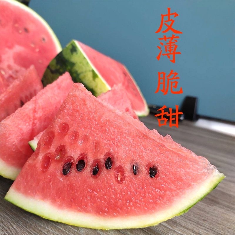 新疆甜王大西瓜，现货直发，甜王西瓜，无籽瓜