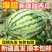 新疆甜王大西瓜，现货直发，甜王西瓜，无籽瓜
