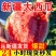 新疆甜王大西瓜，现货直发，甜王西瓜，无籽瓜